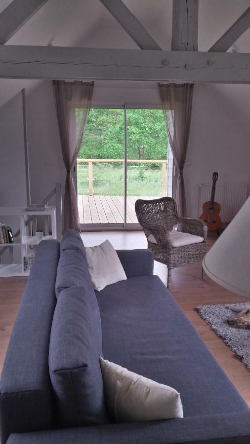 Appartement Des Grands Champs Avec Terrasse Saint-Aignan  Exteriér fotografie